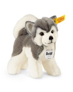 Steiff Bernie the Husky Soft Toy