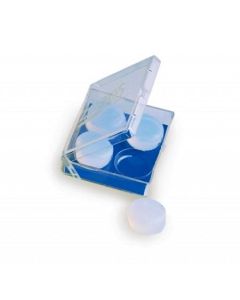 Zoggs Silicon Putty Ear Plugs at Proswimwear