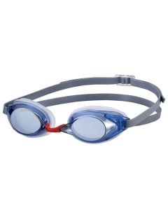 Swans SR2 Mirrored Goggles - Blue / Silver